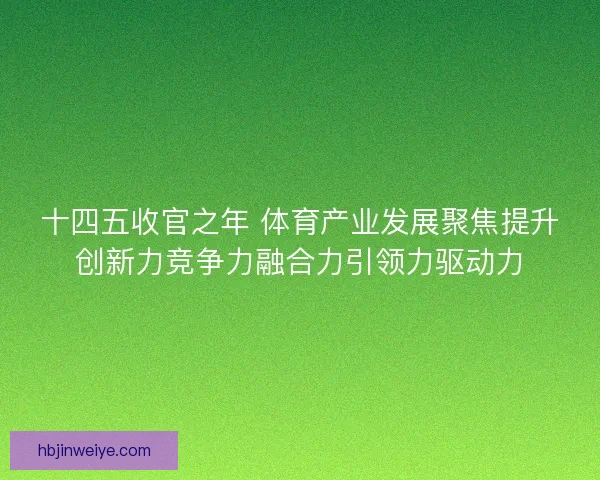 十四五收官之年 体育产业发展聚焦提升创新力竞争力融合力引领力驱动力